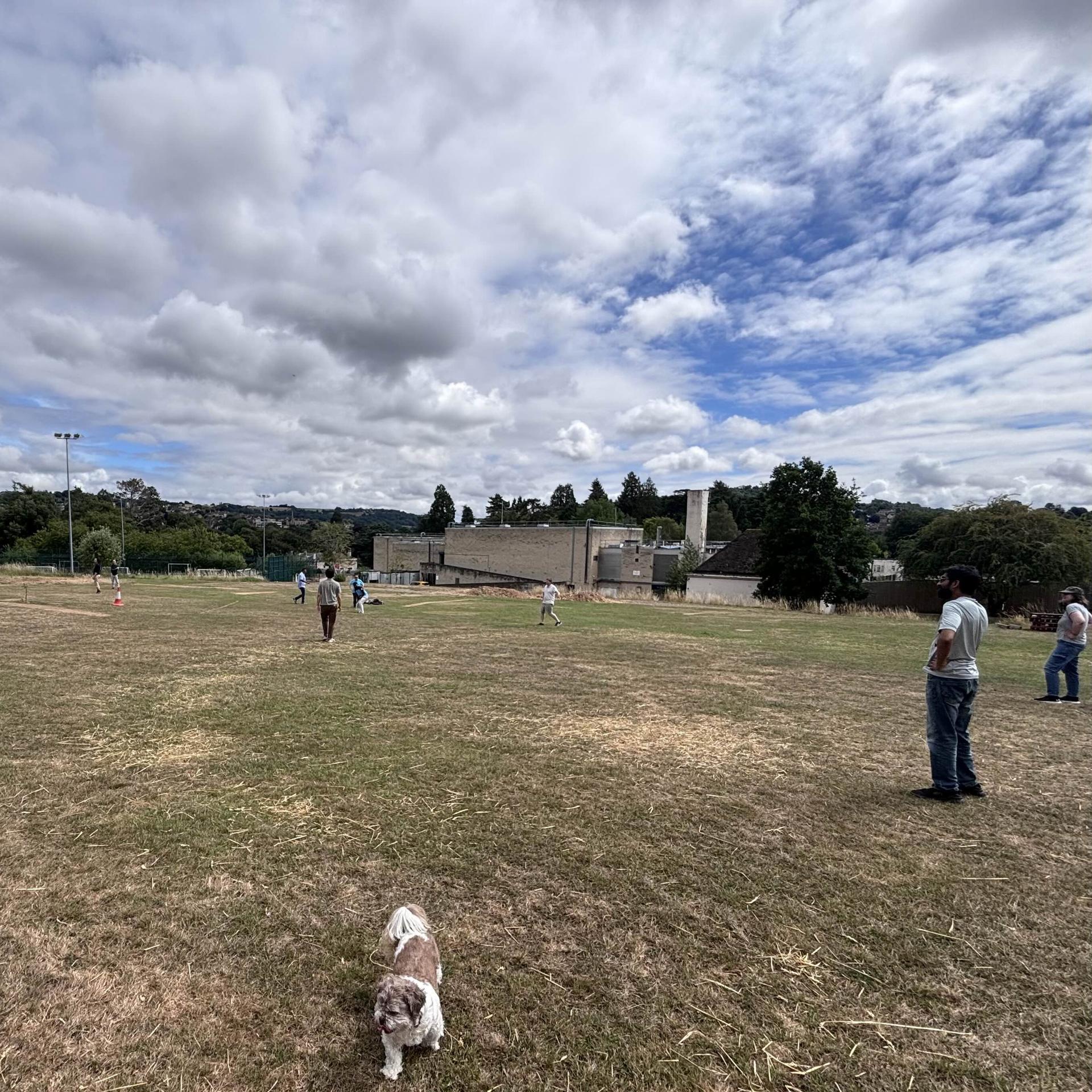 Cricket in the park